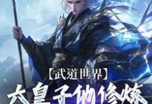 顾长安完整版《武道世界：六皇子他修炼修成逆子啦》小说免费阅读-有文学