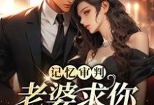 《记忆审判：老婆求你看我一眼》小说免费阅读完整版-有文学