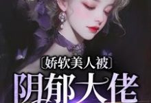 在线寻找娇软美人被阴郁大佬盯上了小说的无删减版本-有文学