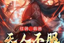 完结版《仗剑，载酒，天人不服先斩翻》在线免费阅读-有文学