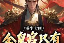 完结版《重生大明：全皇宫只有我得了天花》章节目录在线阅读-有文学