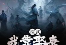 完结版《综武：我靠娶妻福气缠身》章节阅读-有文学