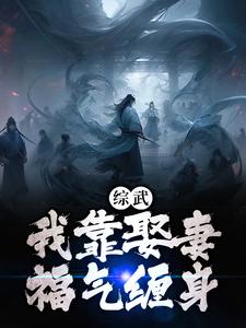 完结版《综武：我靠娶妻福气缠身》章节阅读