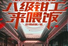 完结版《穿越：熟知剧情，四合院轻松拿下》免费阅读-有文学