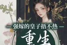 《强嫁的皇子捂不热，重生她不要了》沈安安完整版小说免费阅读-有文学