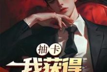 张元小说完整版《抽卡：我获得神级天赋》免费阅读-有文学