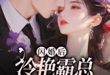 闪婚后，冷艳霸总宠妻无度完整版最新章节，闪婚后，冷艳霸总宠妻无度章节在线阅读-有文学