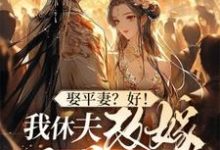 完整版《娶平妻？好！我休夫改嫁王爷给你看》小说免费阅读-有文学