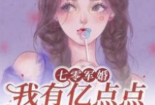 完结版《七零军婚，我有亿点点的小钱钱》在线免费阅读-有文学