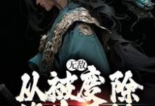 无敌，从被废除修为开始章节免费在线阅读，李玄霄完结版-有文学