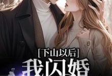 完结版《下山以后，我闪婚多金霸总》章节阅读-有文学