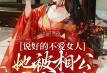 《说好的不爱女人，她被相公夜夜疼爱》小说免费阅读完整版-有文学