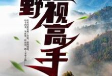 阳顶天完整版《山野透视高手》小说免费阅读-有文学