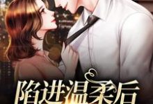 小说完整版《陷进温柔后，他宠上瘾了》免费阅读-有文学