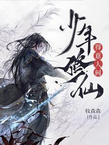 《少年修仙，得意人间》林风小说免费阅读完整版