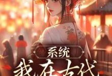 完结版《系统：我在古代带家族起飞》章节阅读-有文学