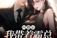 小说完整版《闪婚后，我带着霸总杀回绿茶家》免费阅读-有文学