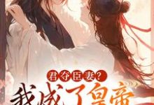 完结版《君夺臣妻？我成了皇帝心尖白月光》免费阅读-有文学