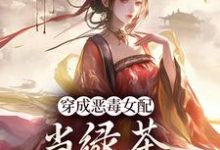 完结版《穿成恶毒女配，当绿茶这么有趣？》免费阅读-有文学