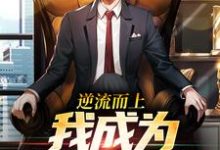 完结版《逆流而上，我成为官道新贵！》章节阅读-有文学