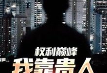 完结版《权利巅峰：我靠贵人逆袭高管！》章节阅读-有文学