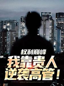 完结版《权利巅峰：我靠贵人逆袭高管！》章节阅读