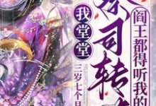 小说完整版《我堂堂祭司转世，阎王都得听我的》免费阅读-有文学