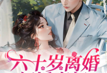 完结版《六十岁离婚闪婚豪门！父子火葬场》在线免费阅读-有文学