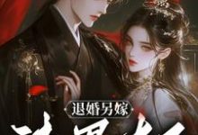 完结版《退婚另嫁，渣男太子怎么跪了》章节阅读-有文学