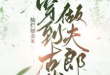 《穿到古代做夫郎》完整版小说免费阅读-有文学