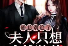 完整版《霸总别追了，夫人只想拿钱独美》小说免费阅读-有文学