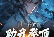 完结版《十二符咒助我登顶仙界巅峰》章节目录在线阅读-有文学