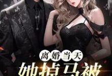 完整版《离婚当天，她掉马被顶级娘家接回》小说免费阅读-有文学