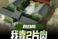 《四合院：我靠2片肉俘获秦淮茹芳心》小说免费阅读完整版-有文学