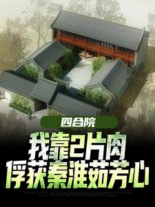 四合院：我靠2片肉俘获秦淮茹芳心（王建安秦淮茹）完整版在线免费阅读