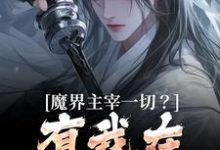 完结版《魔界主宰一切？有我在谁敢造次》免费阅读-有文学