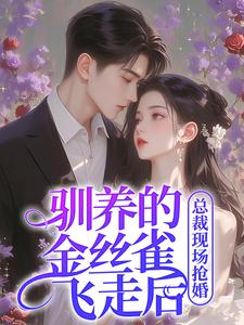 完结版《驯养的金丝雀飞走后，总裁现场抢婚》章节阅读