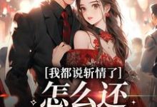 《我都说斩情了，怎么还让我相亲》小说免费阅读完整版-有文学