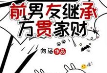 《前脚分，后脚前男友继承万贯家财》完整版小说免费阅读-有文学