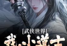 张正道胡芸英完整版《武侠世界：我，小道士，已无敌》小说免费阅读-有文学