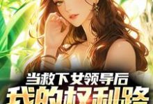 完结版《当救下女领导后，我的权利路稳了！》章节目录在线阅读-有文学