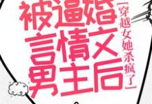 完结版《被逼婚言情文男主后，穿越女她杀疯了》章节阅读-有文学