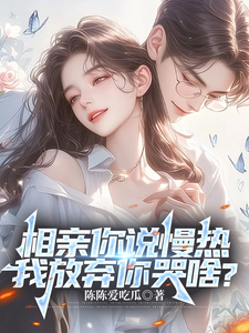 丁歌完整版《相亲你说慢热，我放弃你哭啥？》小说免费阅读