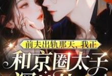 完结版《前夫出轨那天，我正和京圈太子深情热吻》章节阅读-有文学