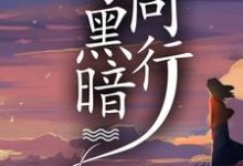 与黑暗同行小说阅读，与黑暗同行完结版-有文学