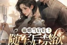 完结版《逼婚当后妈！随军后禁欲大佬上瘾》在线免费阅读-有文学