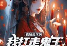 已完结小说《夜宿乱坟岗，我扛走鬼王漂亮新娘》章节在线阅读-有文学