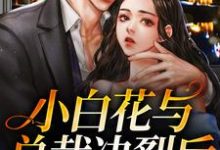 沈宜周从谨完整版《小白花与总裁决裂后，他后悔疯了》小说免费阅读-有文学