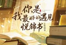 姜颜叶图南小说免费阅读完整版-有文学