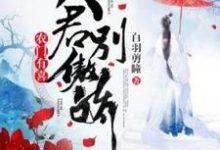 农门有喜：夫君别傲娇小说阅读，农门有喜：夫君别傲娇完结版-有文学